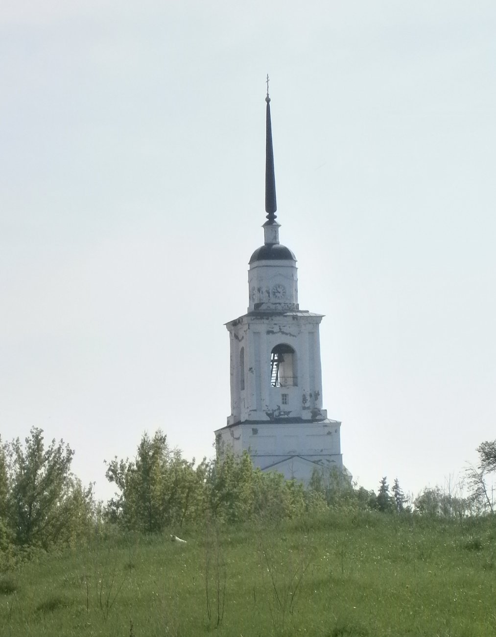 P2074113в.jpg