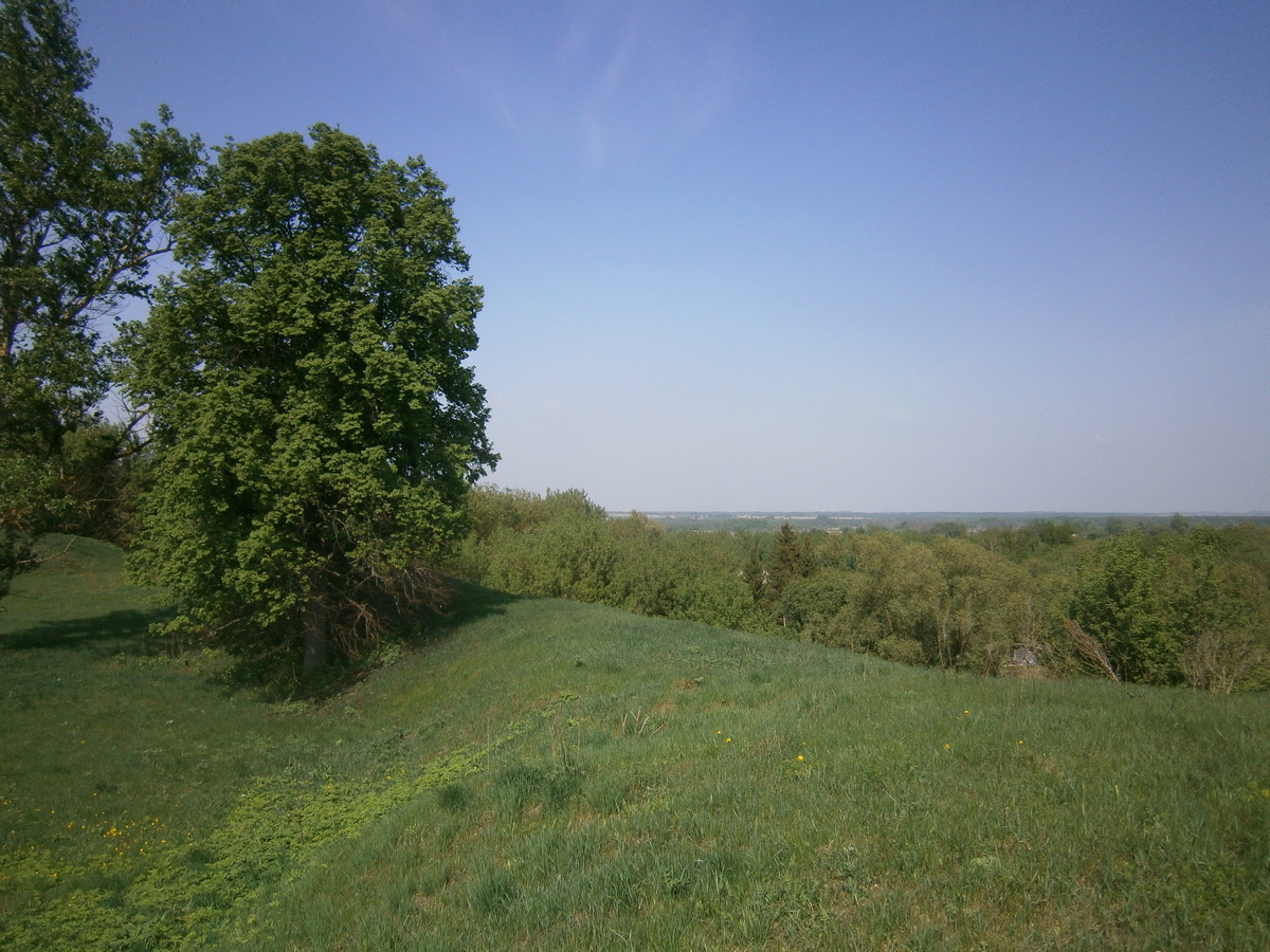 P2074114.JPG