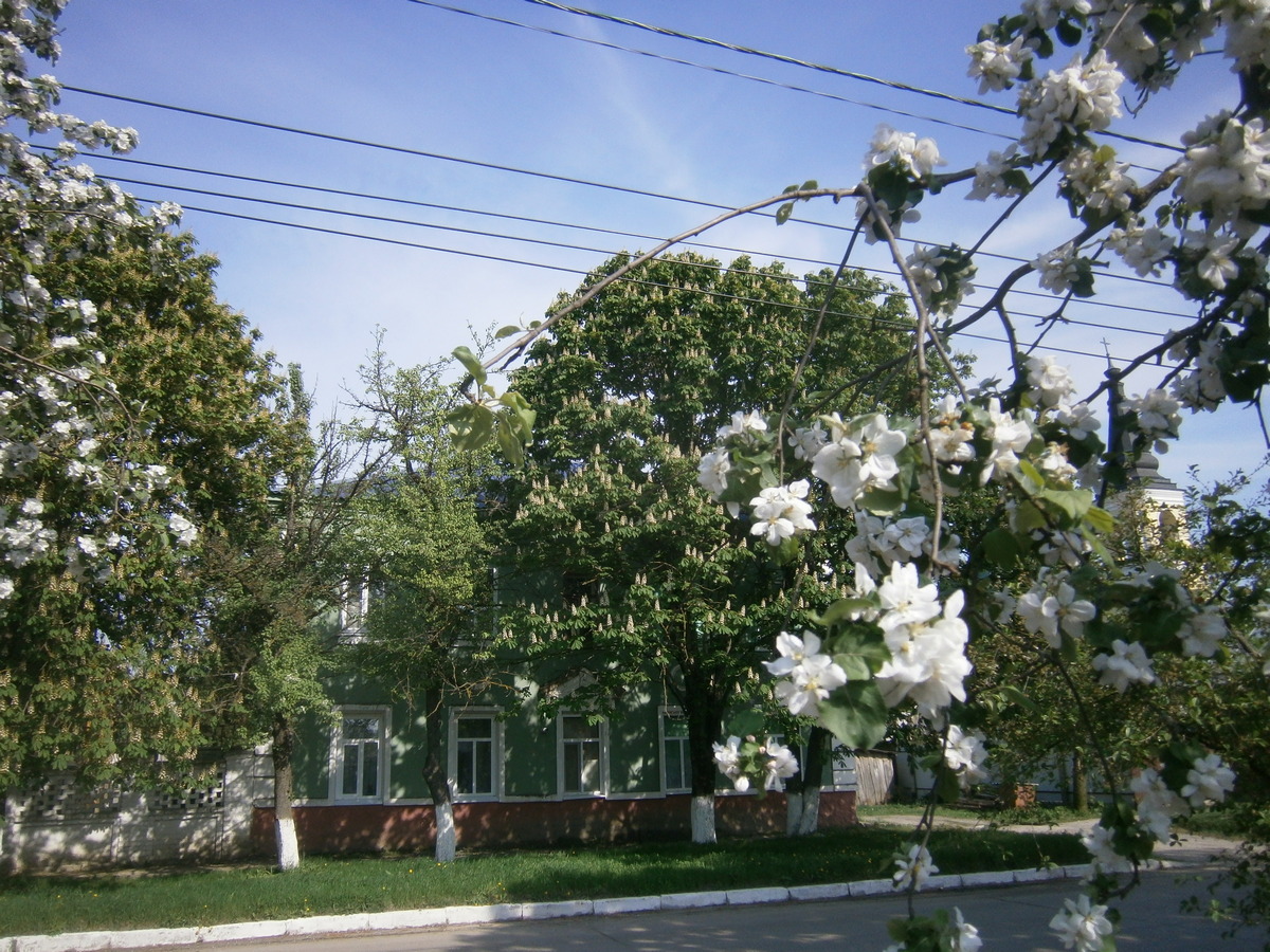 P2074119.JPG