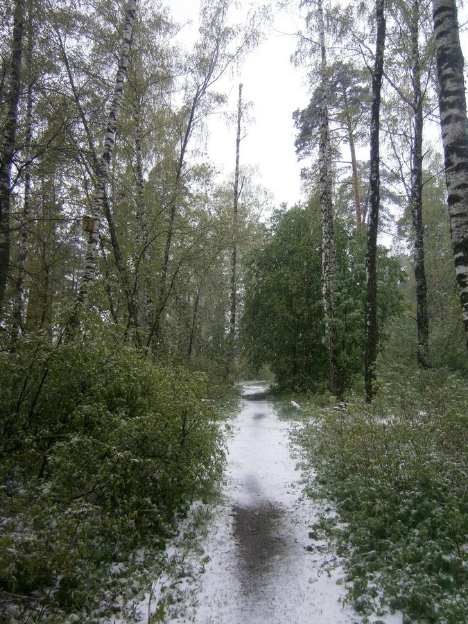 P2082993g.jpg