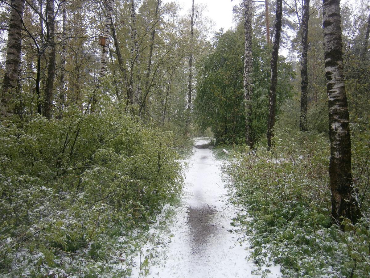 P2082994f.jpg