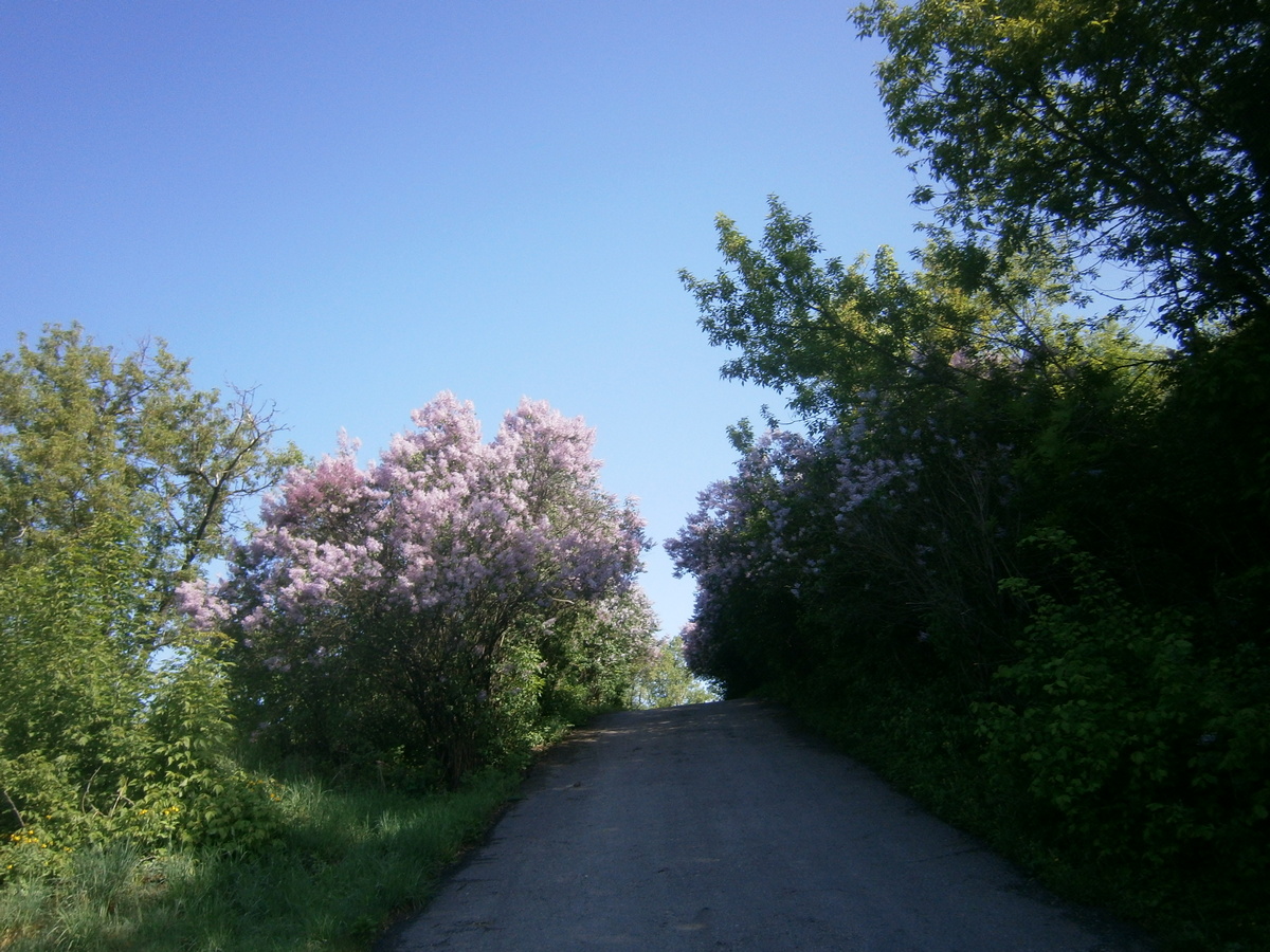 P2084157.JPG