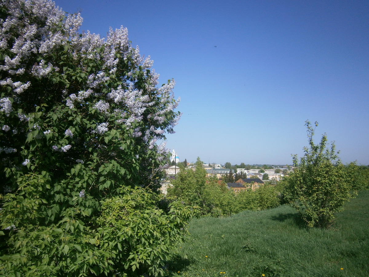 P2084163.JPG