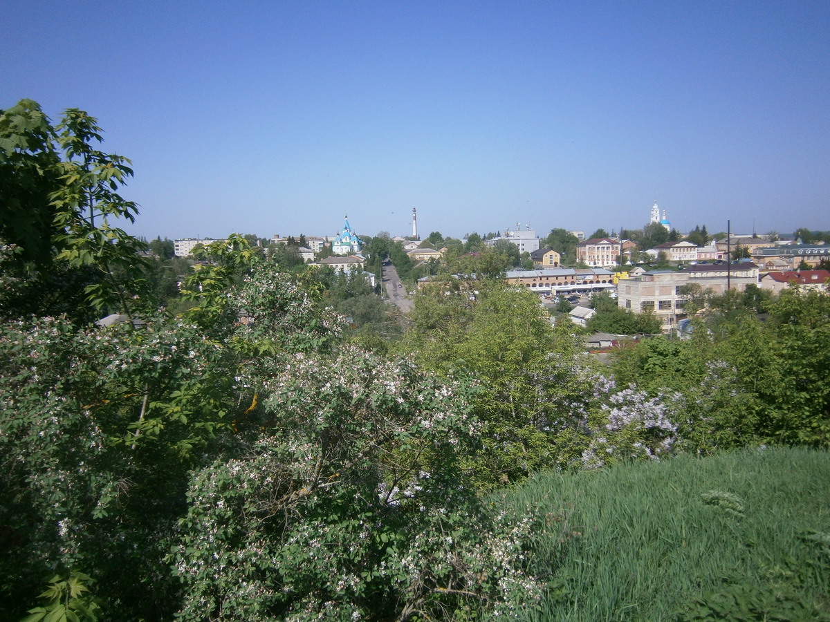 P2084179.JPG