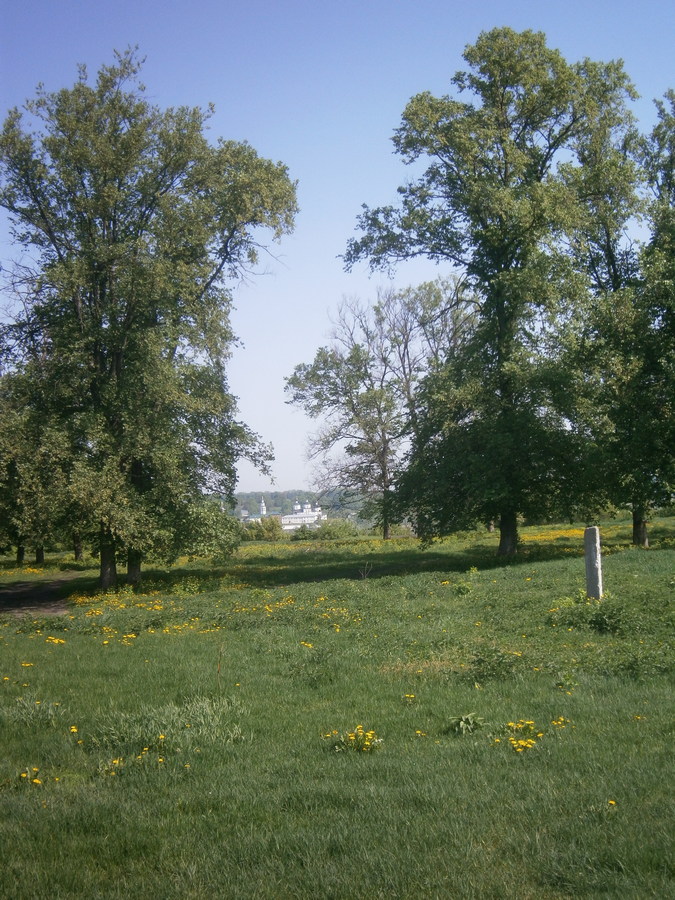 P2084180.JPG