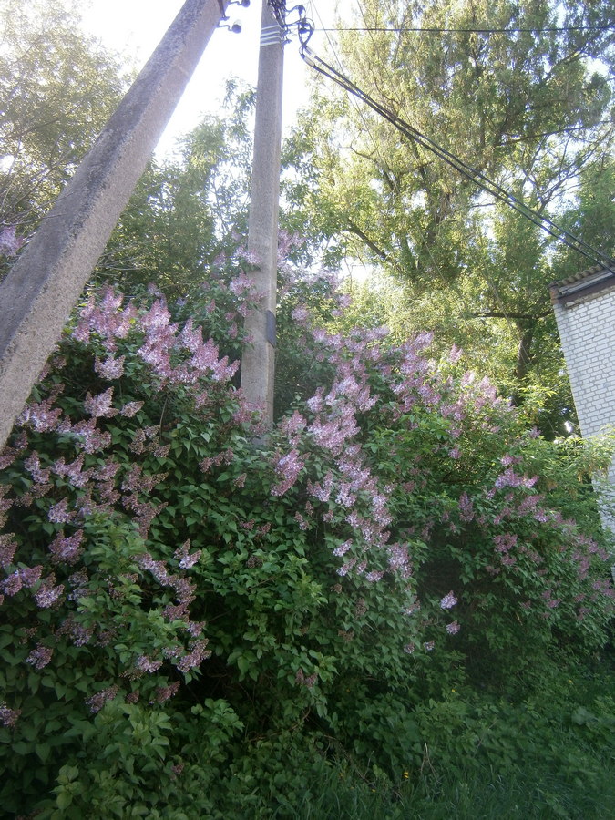 P2084182.JPG