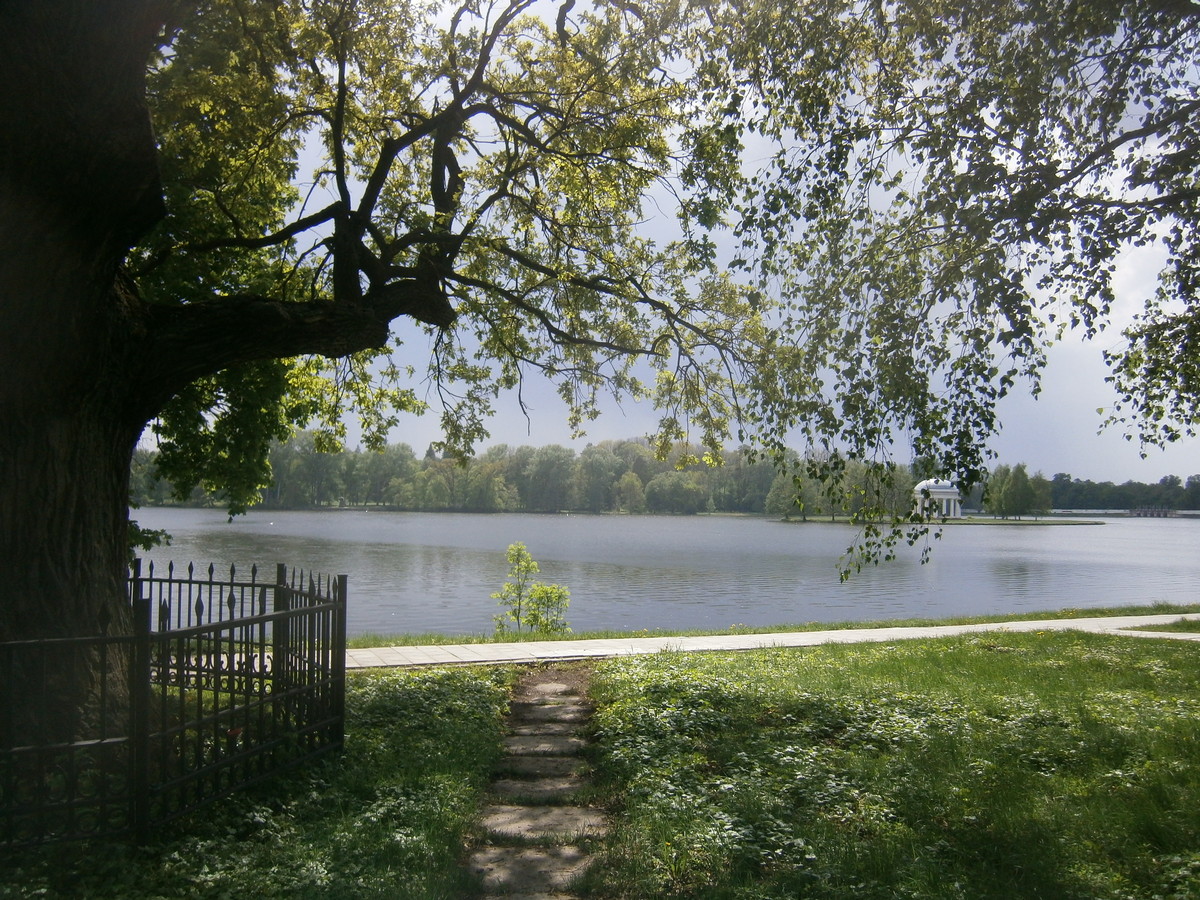 P2084192.JPG
