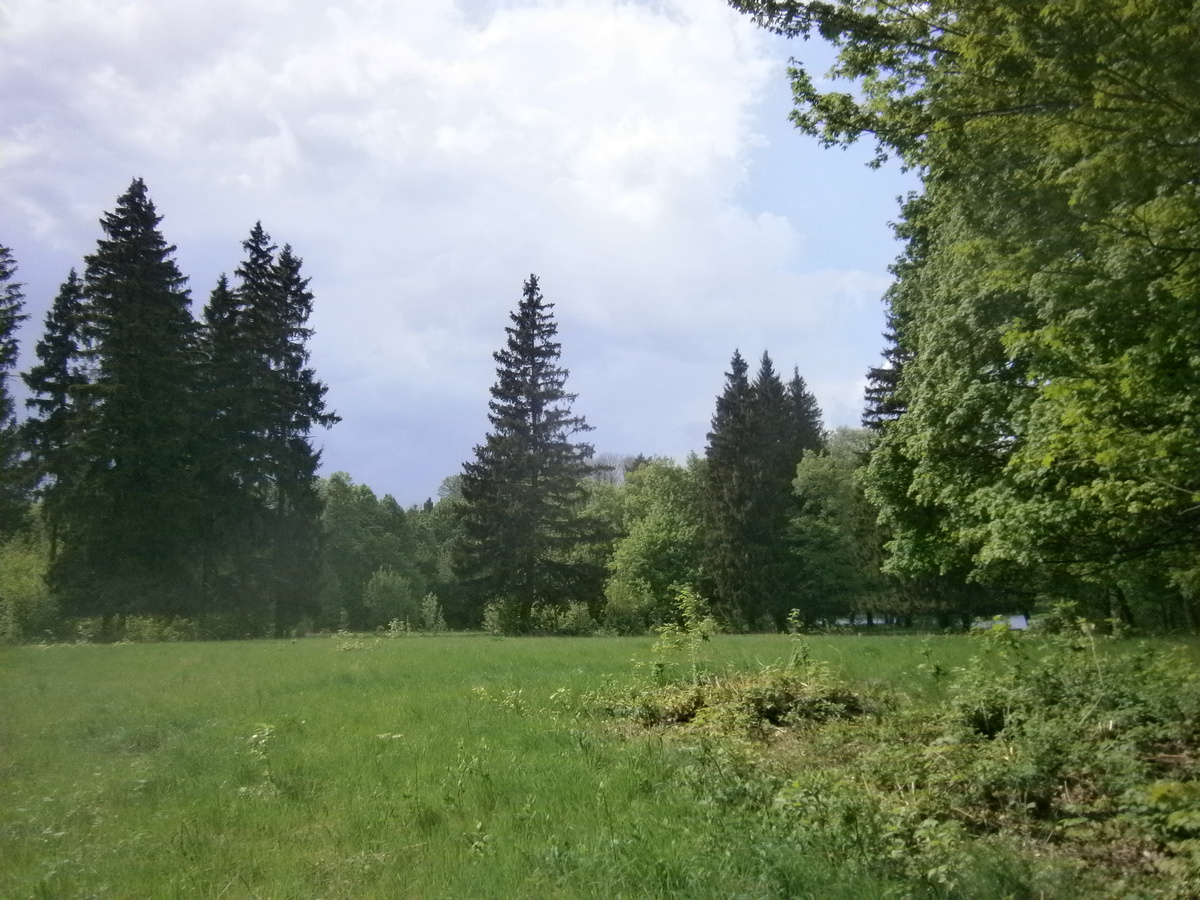 P2084210.JPG