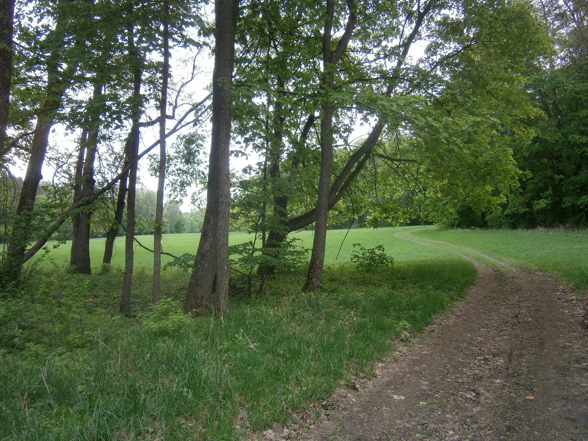 P2084238.JPG
