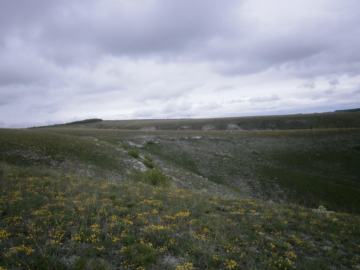 P2123042.JPG