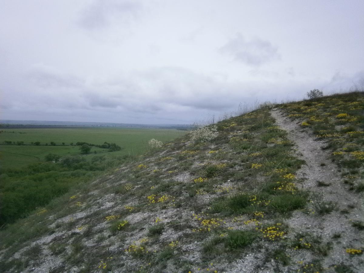 P2123044.JPG