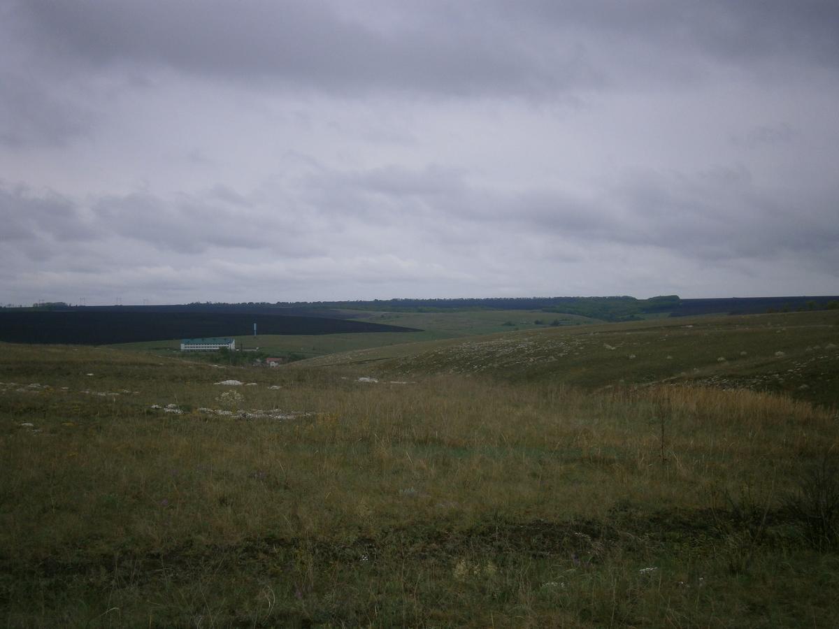 P2123070.JPG