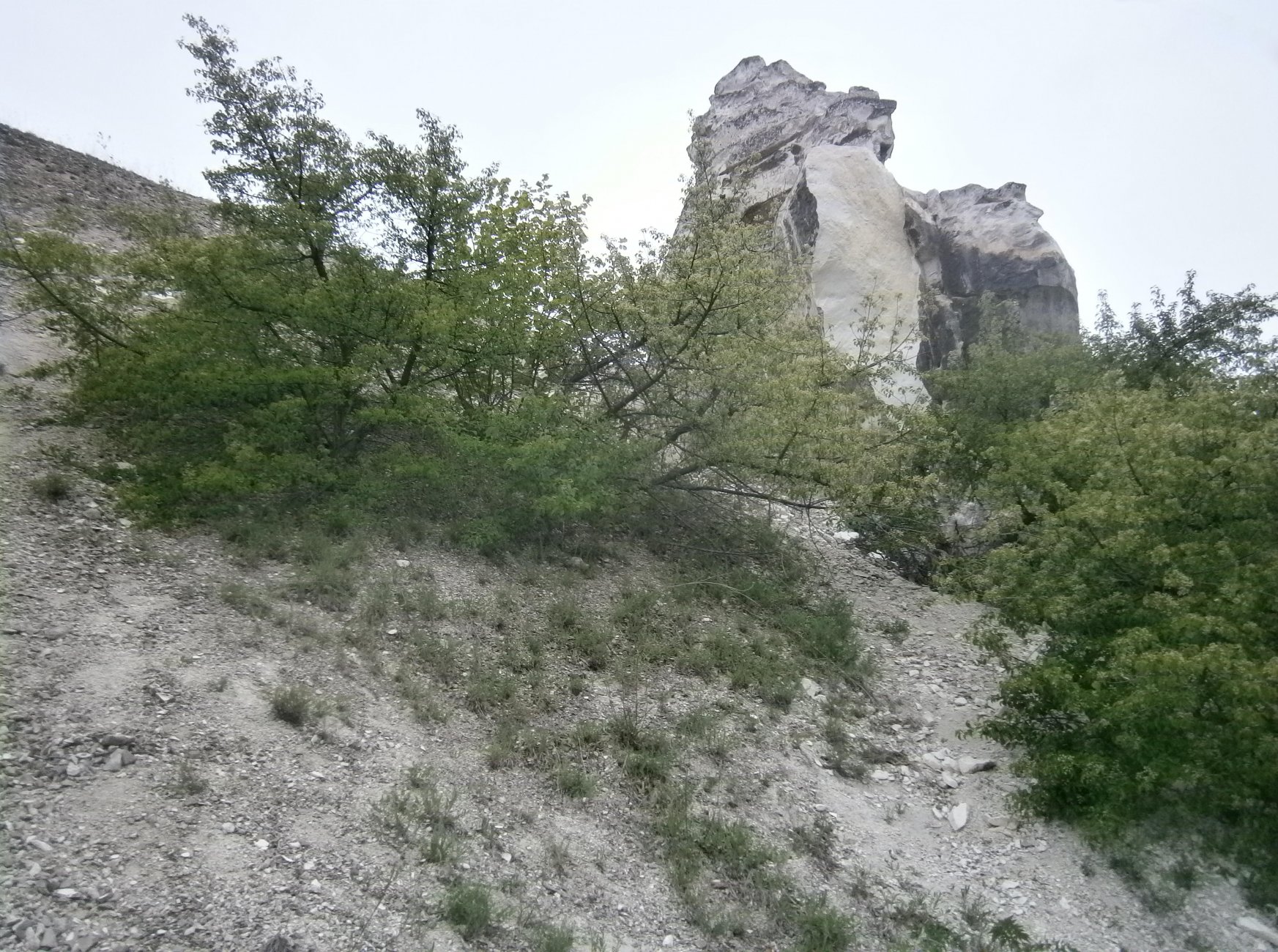 P2133126.JPG