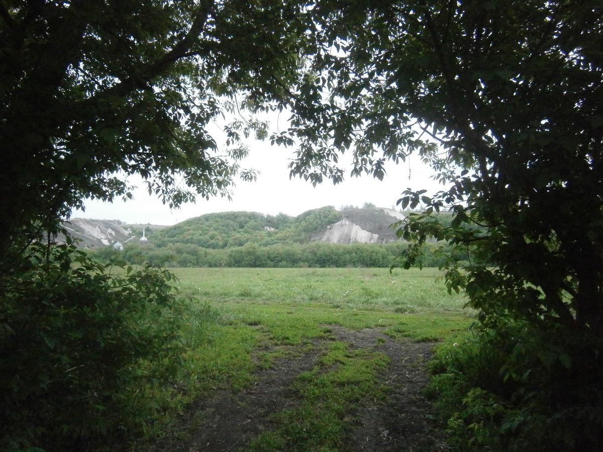 P2133135.JPG