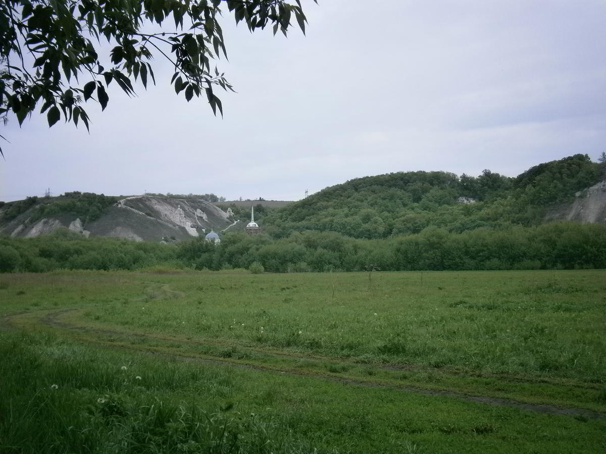 P2133136.JPG