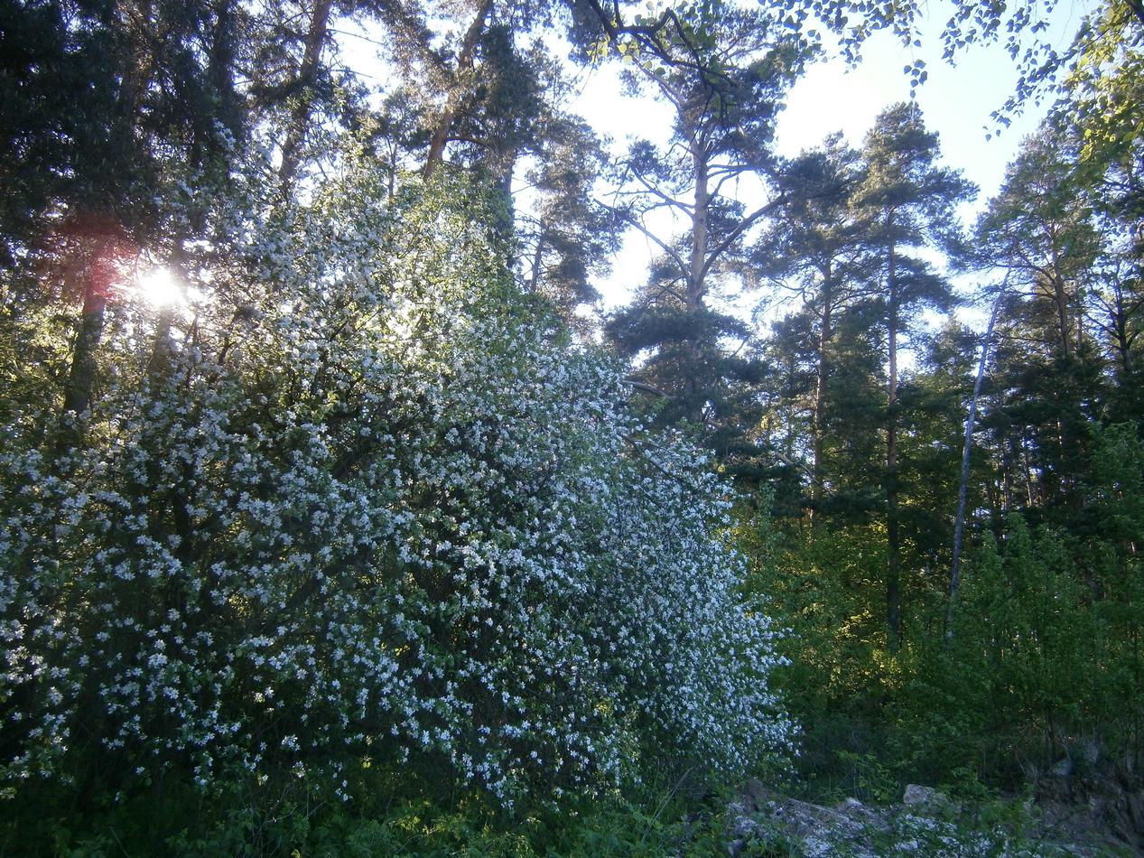 P2141334l.jpg