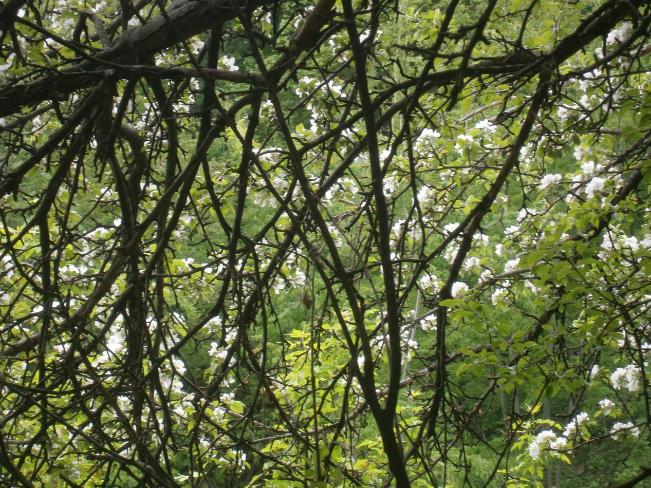 P2203157f.jpg
