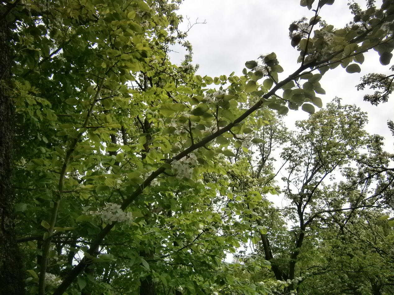 P2203166f.jpg
