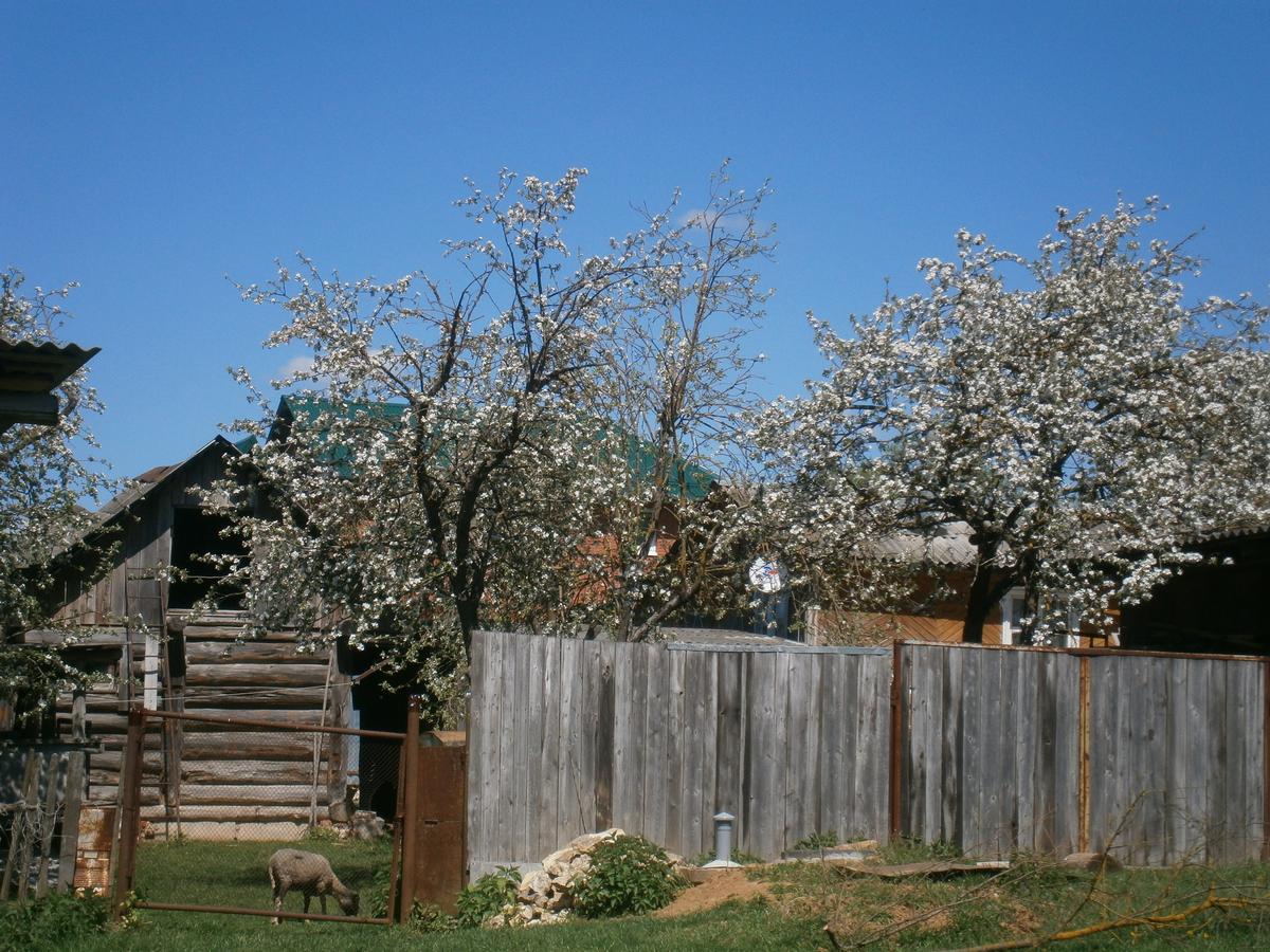 P2243189..jpg