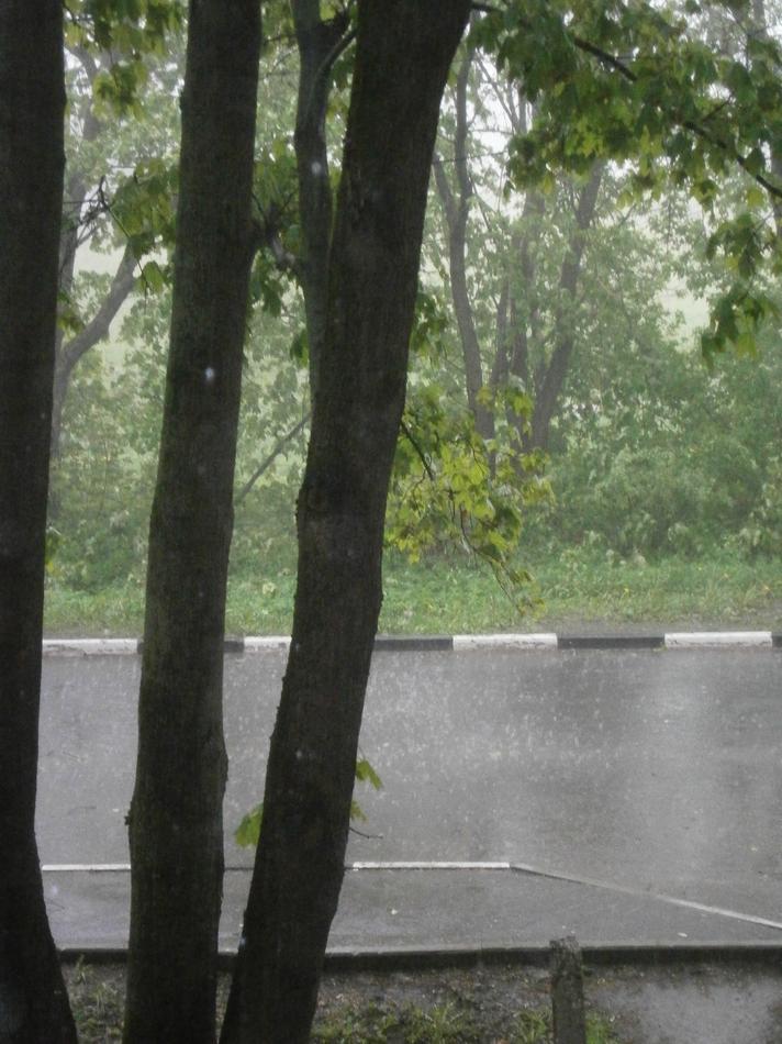 P2253192.JPG