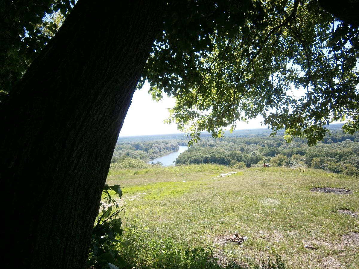 P3060655f.jpg