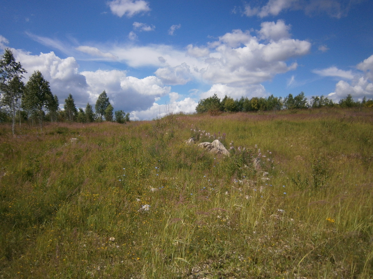 P4075185р.jpg