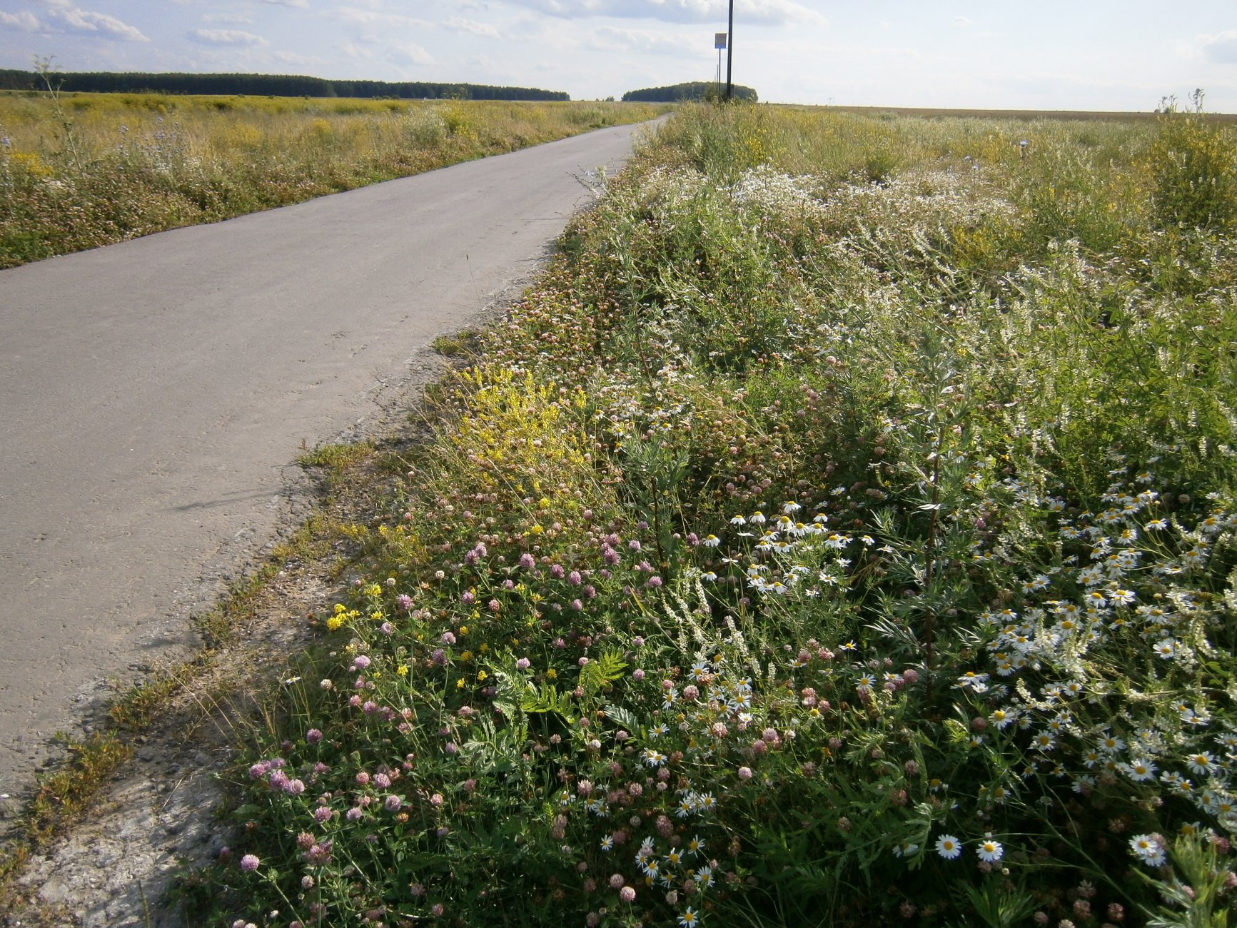P4080798.JPG