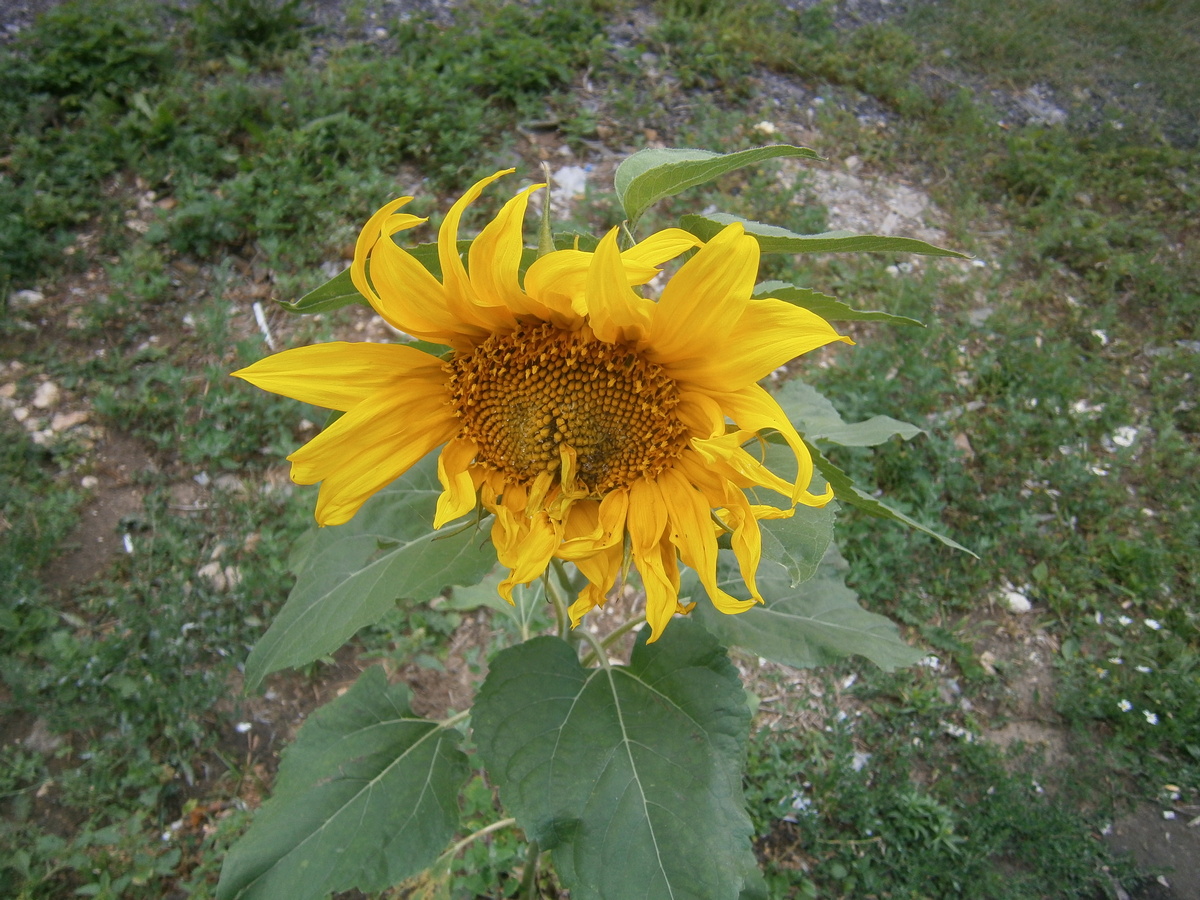 P4084406.JPG
