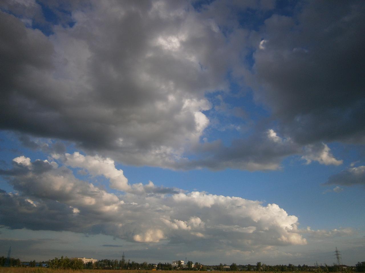 P4111686h.jpg