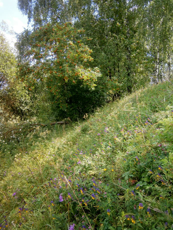 P4115202.JPG
