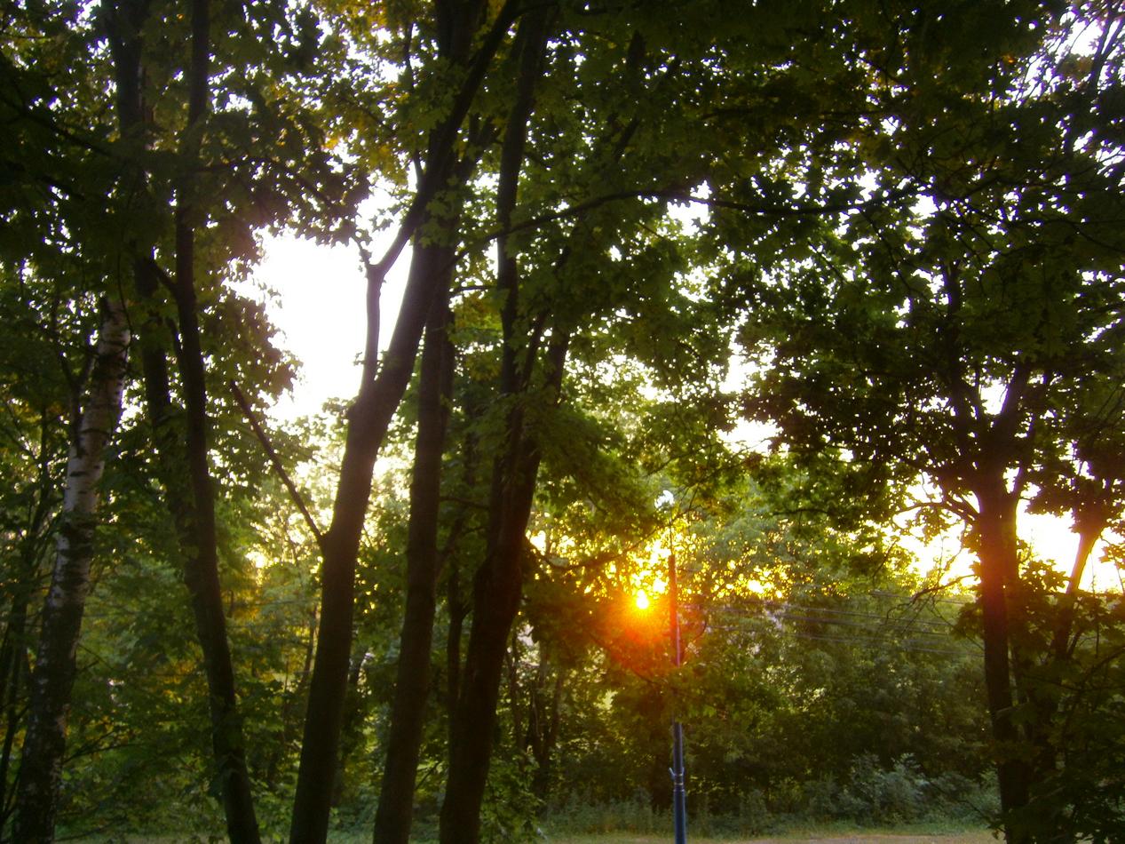 P4151759y.jpg