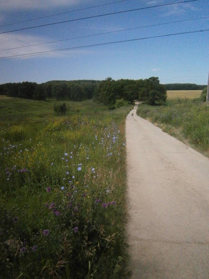 P4203268.JPG