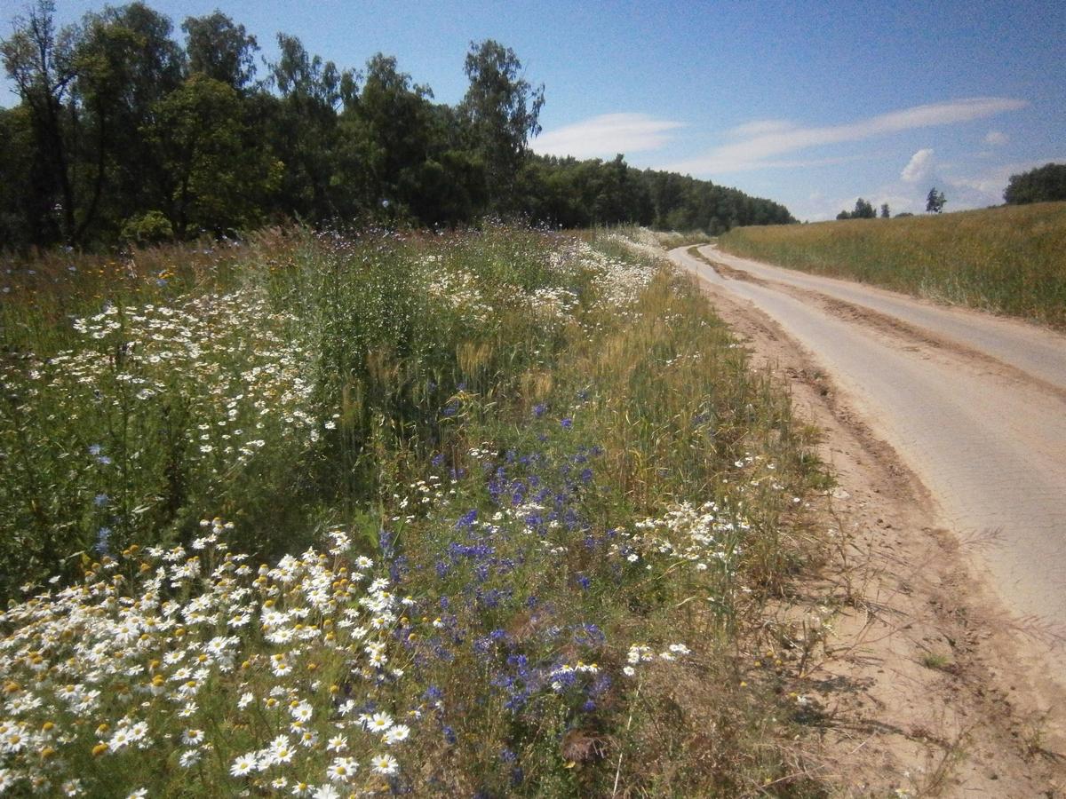 P4203286.JPG