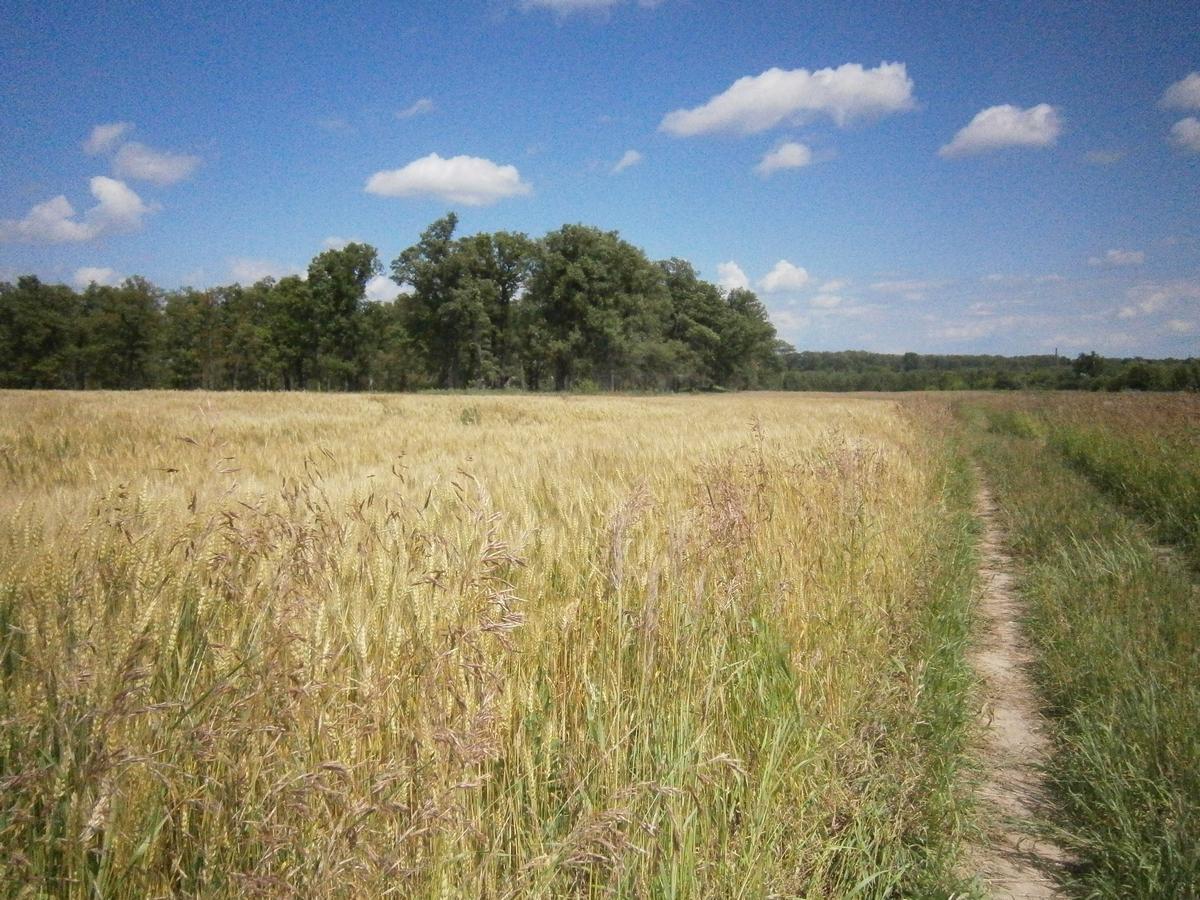 P4203316.JPG