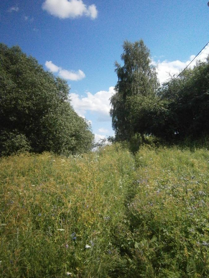 P4203339.JPG