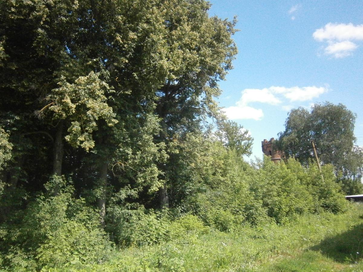 P4203351.JPG