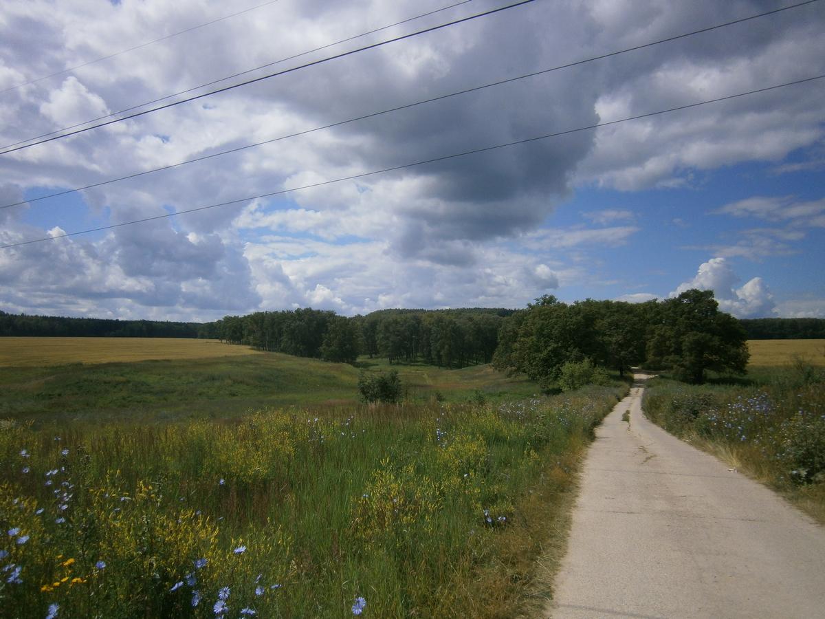 P4223400.JPG
