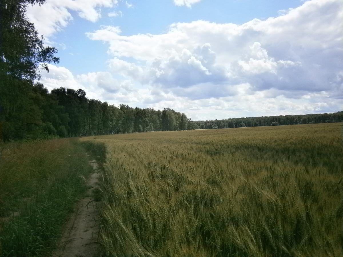 P4223412.JPG