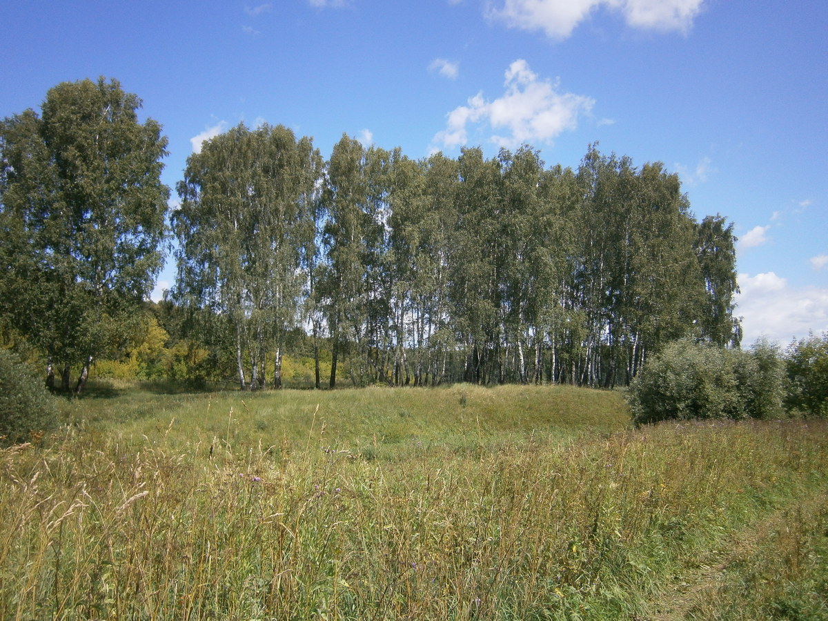 P4245226р.jpg
