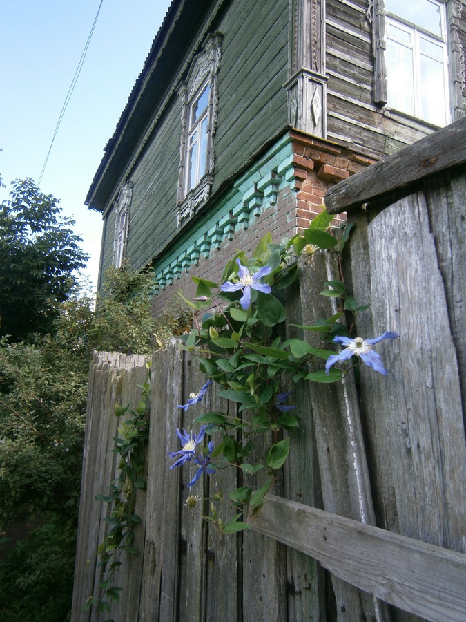 P4245246п.jpg