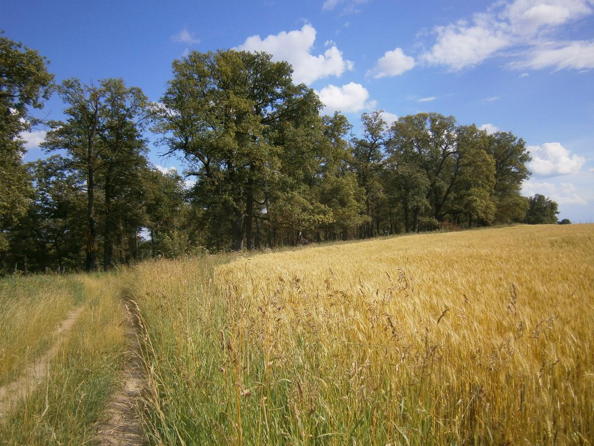 P4273427.JPG