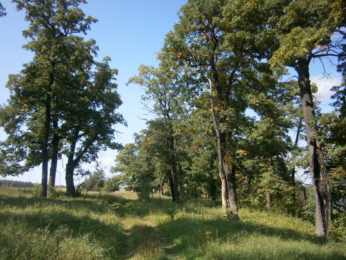 P5155292.JPG