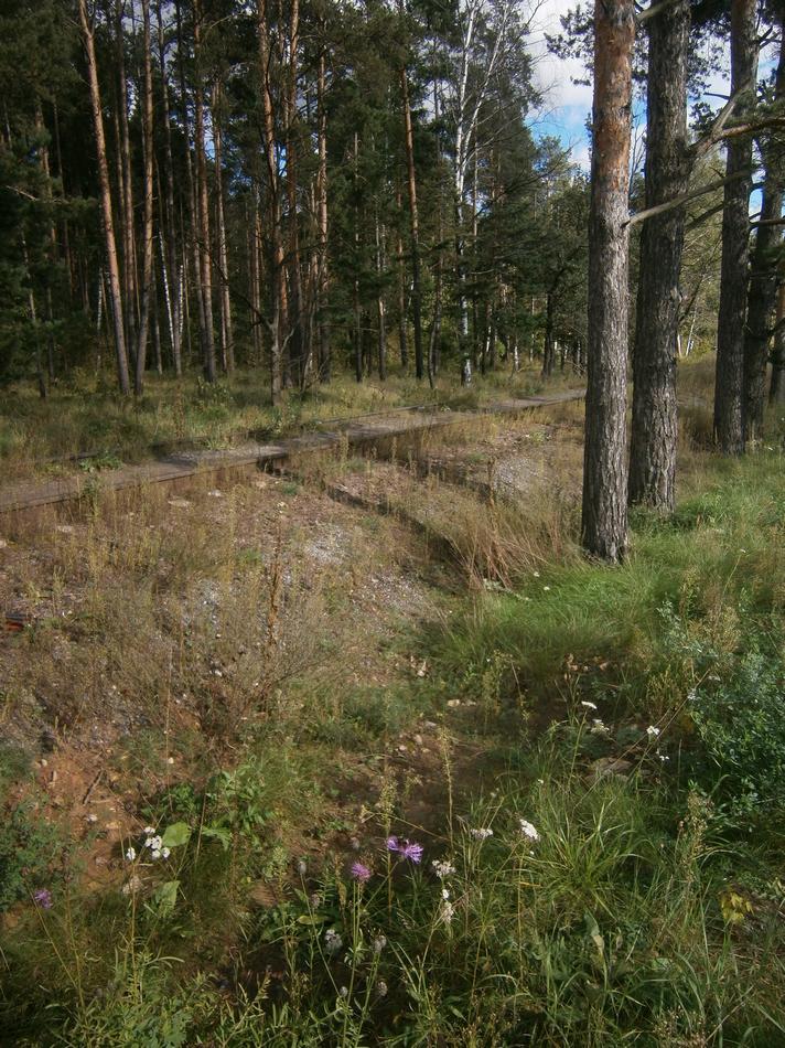 P61118566.jpg