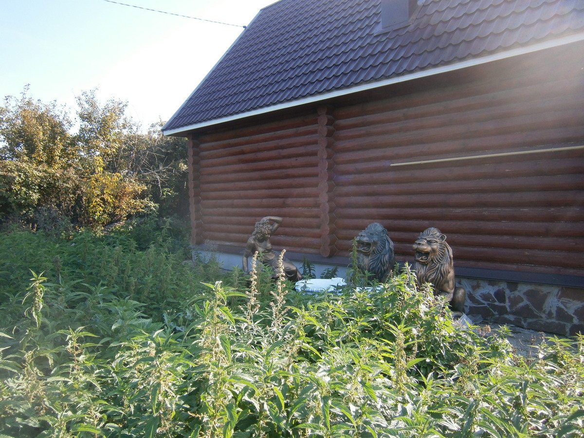 P6145512п.jpg