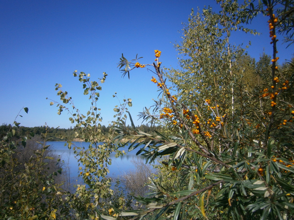 P6174454а.jpg