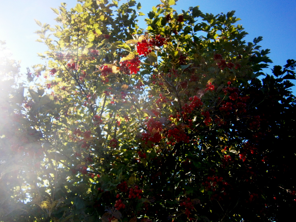 P6174462е.jpg