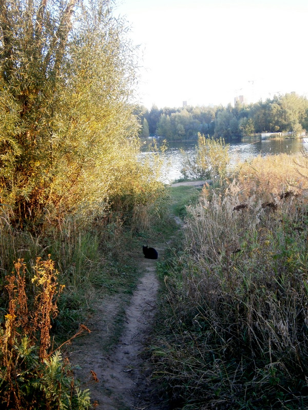 P6174466ы.jpg
