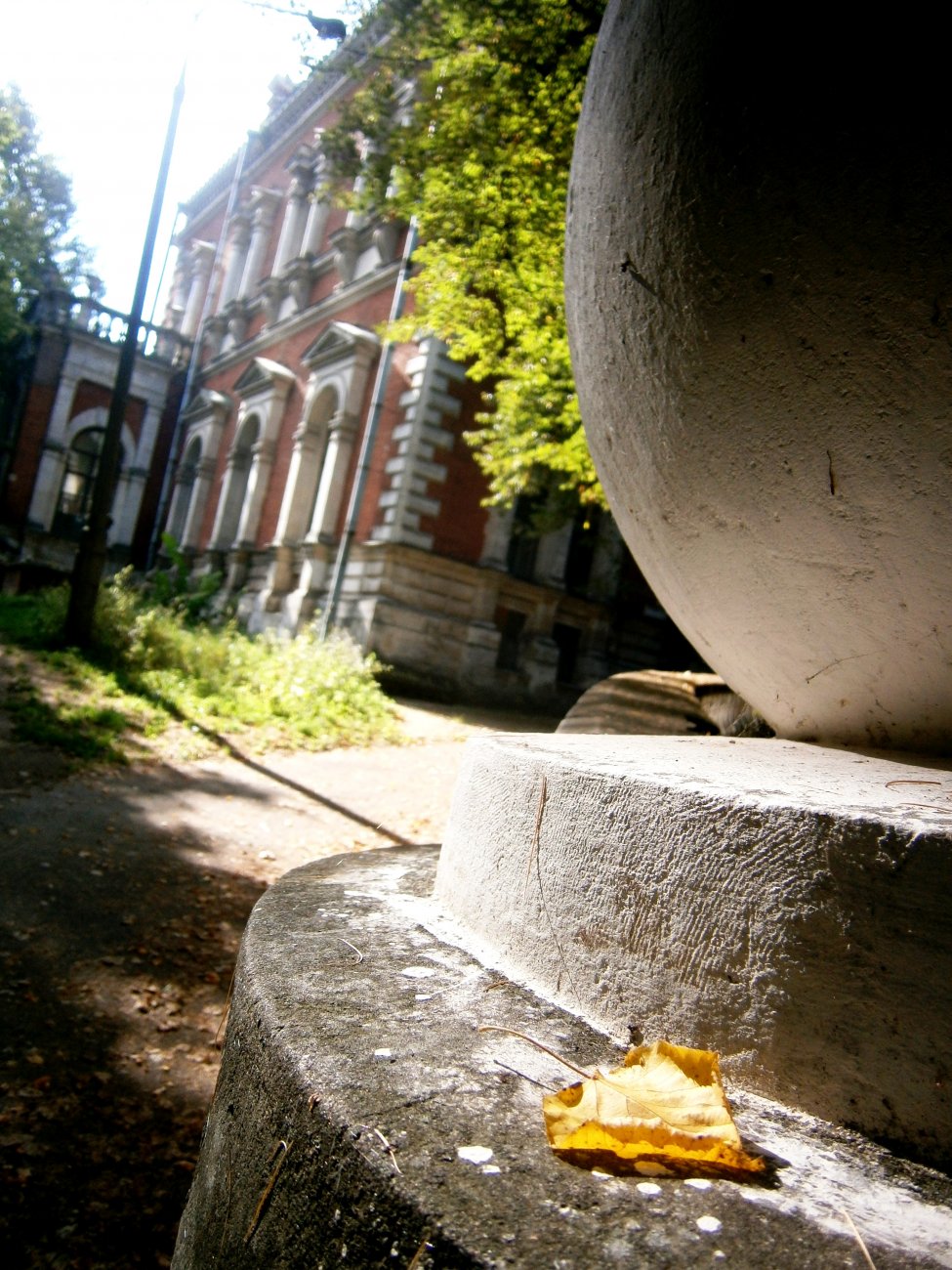 P6184493.JPG