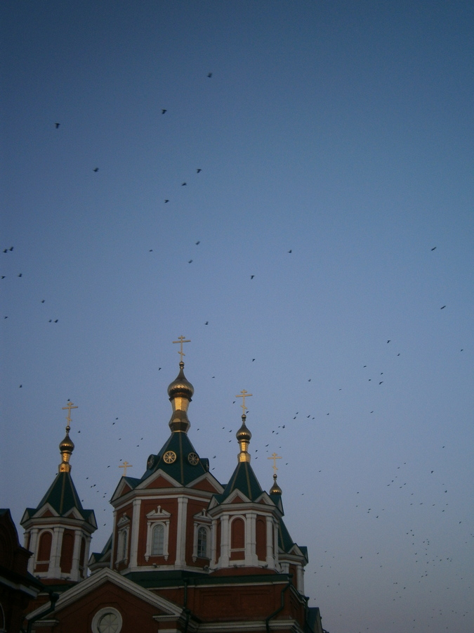 P6244567в.jpg