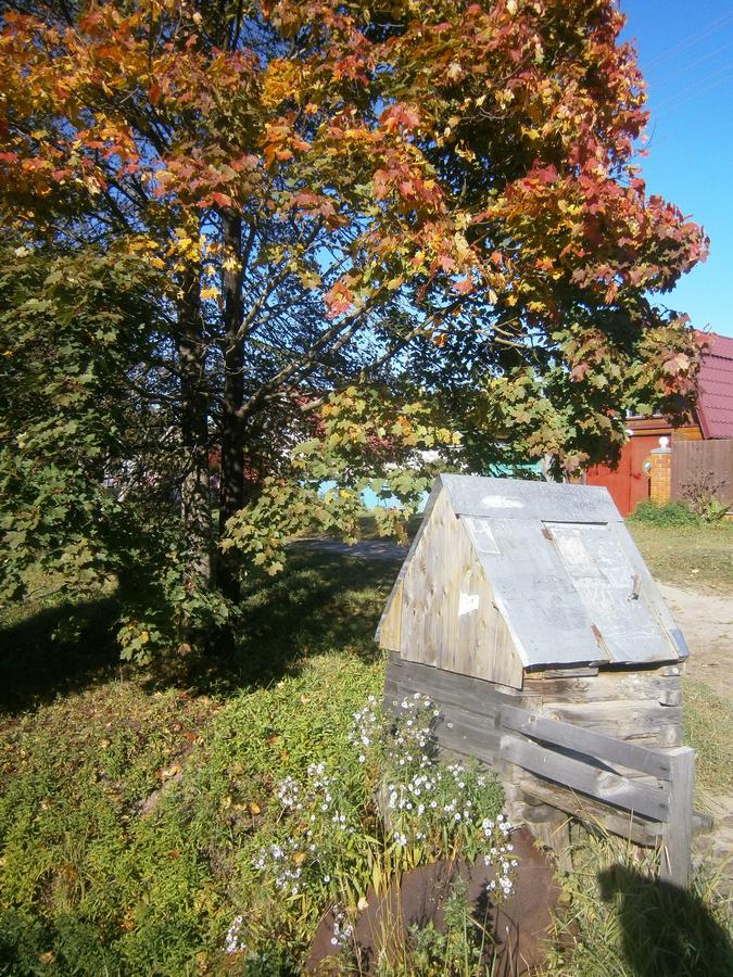 P6263832f.jpg